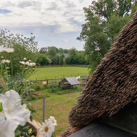 Het Grote Paard Apartman Havelte Kültér fotó