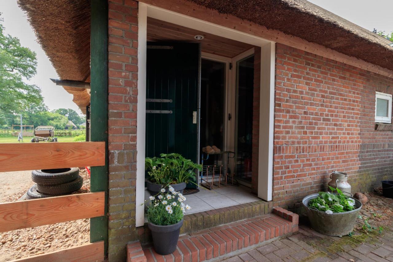 Het Grote Paard Apartman Havelte Kültér fotó