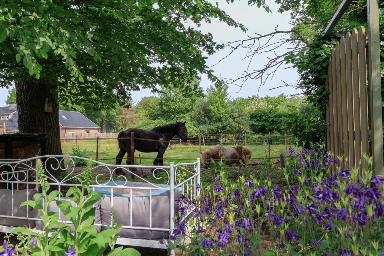 Het Grote Paard Apartman Havelte Kültér fotó