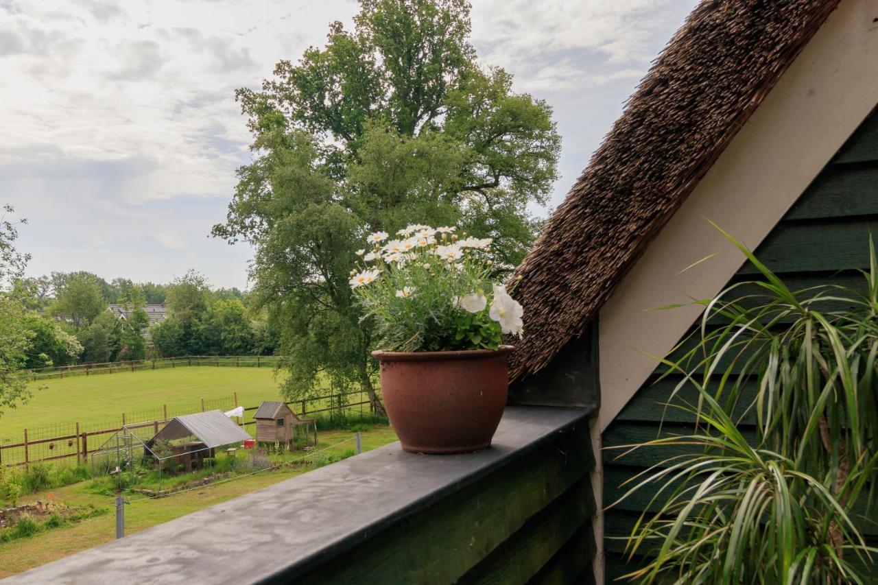 Het Grote Paard Apartman Havelte Kültér fotó