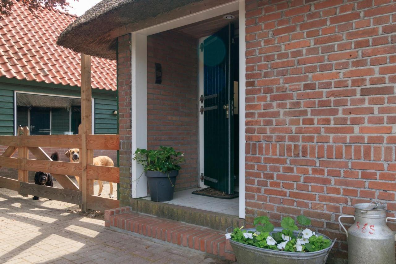 Het Grote Paard Apartman Havelte Kültér fotó